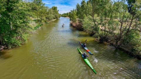 mehrere paddelnde Personen von hinten auf einem Fluss